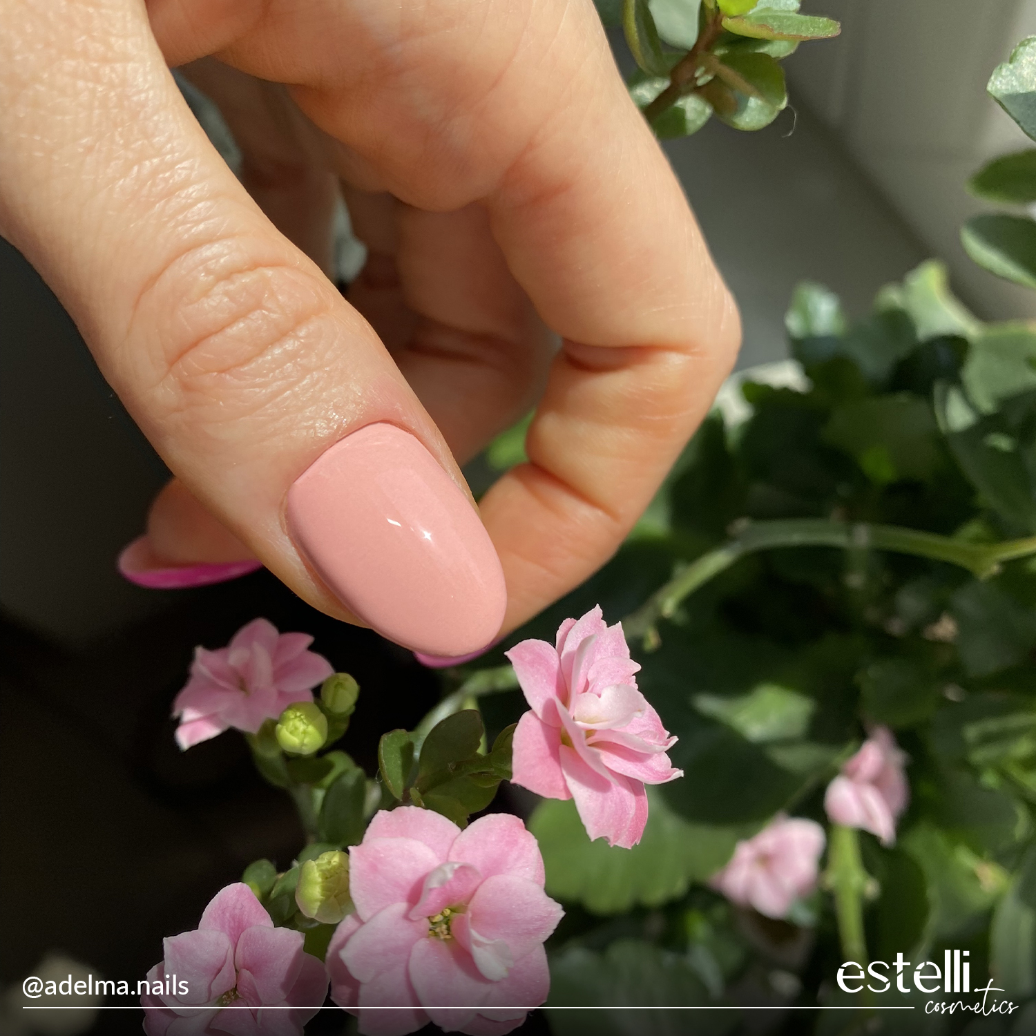 68 Cherry Blossom_opt